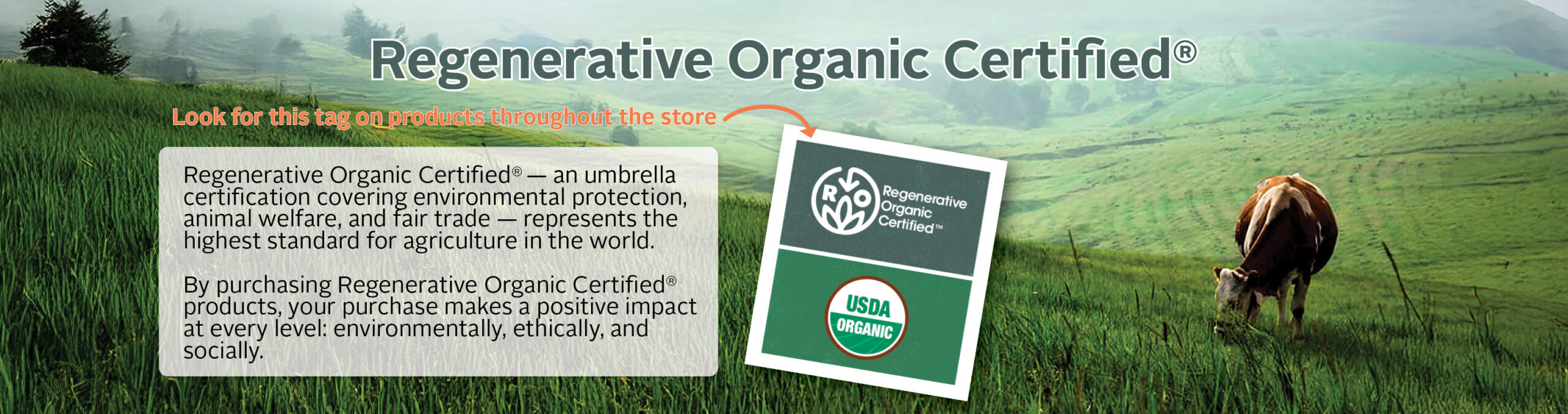 What is Regenerative Organic Agriculture?